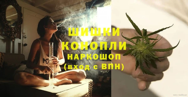apvp Няндома