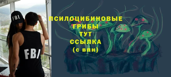 apvp Няндома