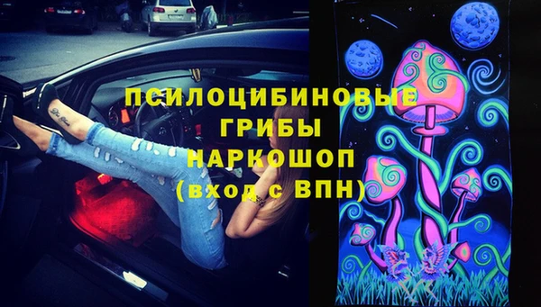 трава Нягань