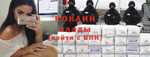 apvp Няндома